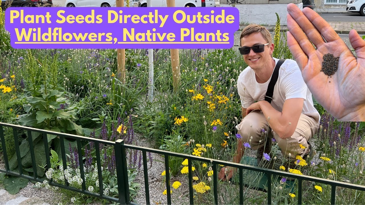Video thumbnail for How to Plant Seeds Outside for a Wildflower or Native Plant Garden - Step by Step - Autumn/Winter