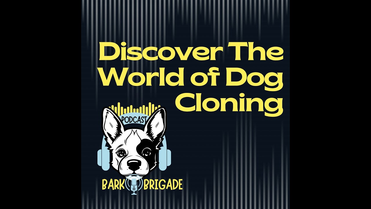 Video thumbnail for Dog Cloning as Intriguing Opportunity or Something Else?