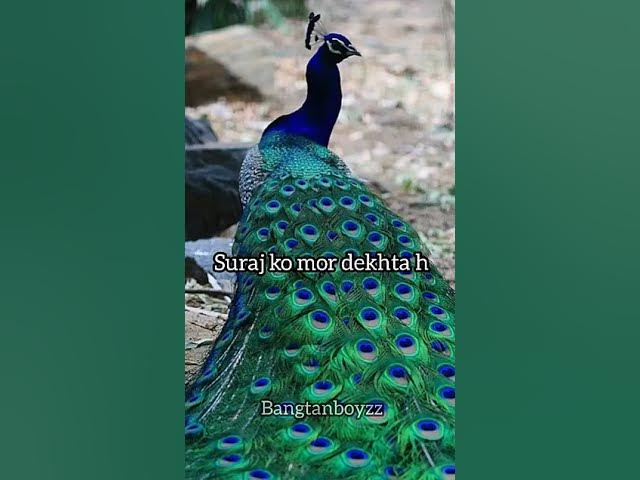 Video thumbnail for 17 September 2025