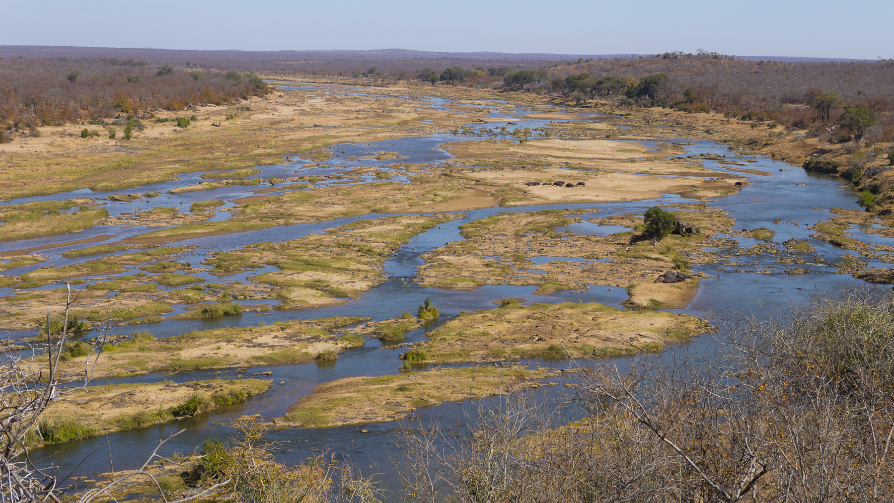 'Video thumbnail for Olifants Fluss und N'wamanzi | Kruger Nationalpark Südafrika'