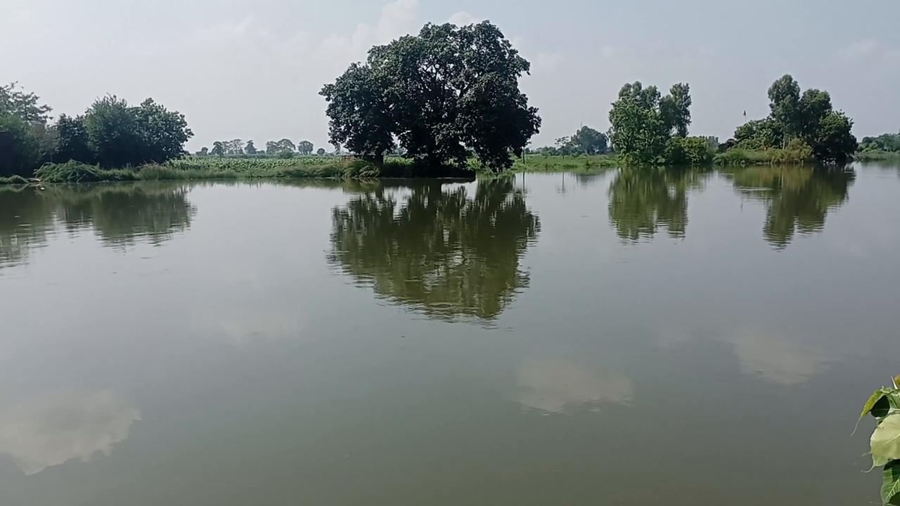 Video thumbnail for Pakistan: Monsoon flash floods submerge Gujranwala following record rainfall in Pakistan.