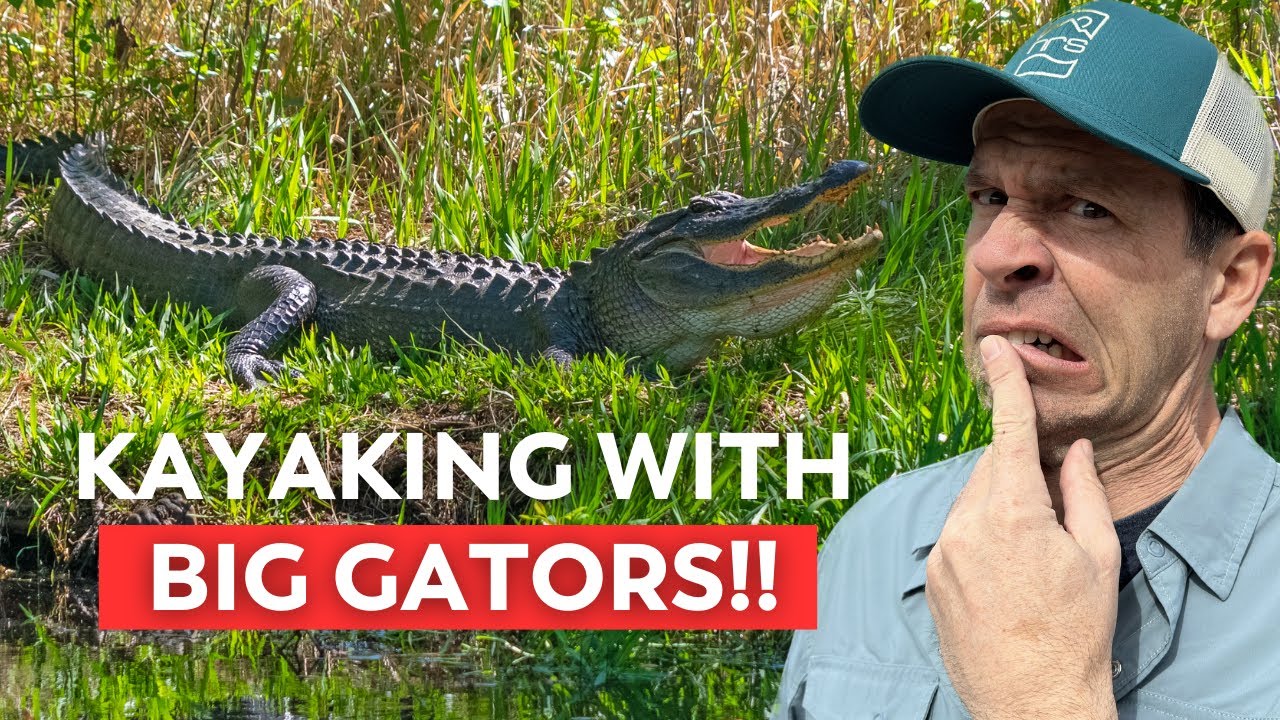 Video thumbnail for Kayak Camping in Alligator Country! | A Multi_Day Paddling Adventure in the Okefenokee - Part 2