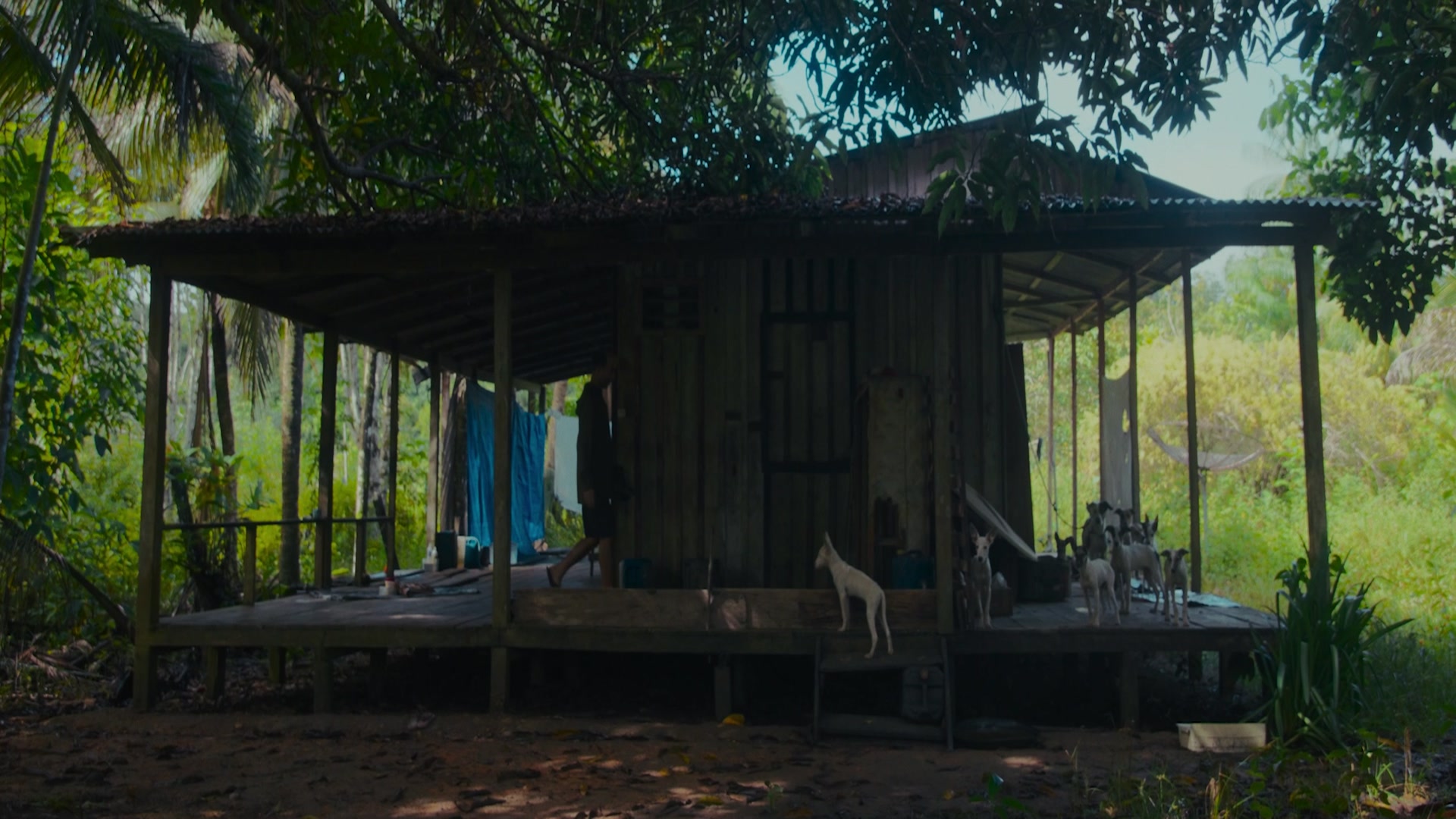 Video thumbnail for amazorioca_-_trailer.mp4