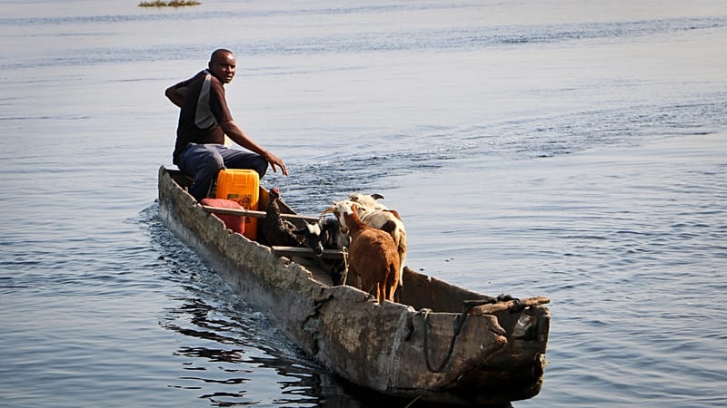 Video thumbnail for Congo fishermen abandon nets for plastic waste