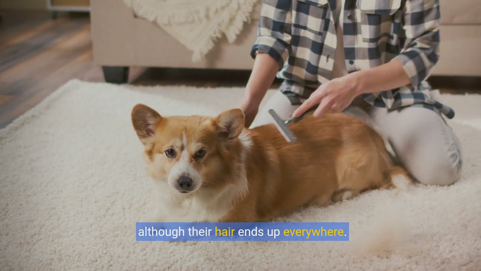 'Video thumbnail for Fur-Free Living: Ultimate Guide to Removing Pet Hair from Furniture'