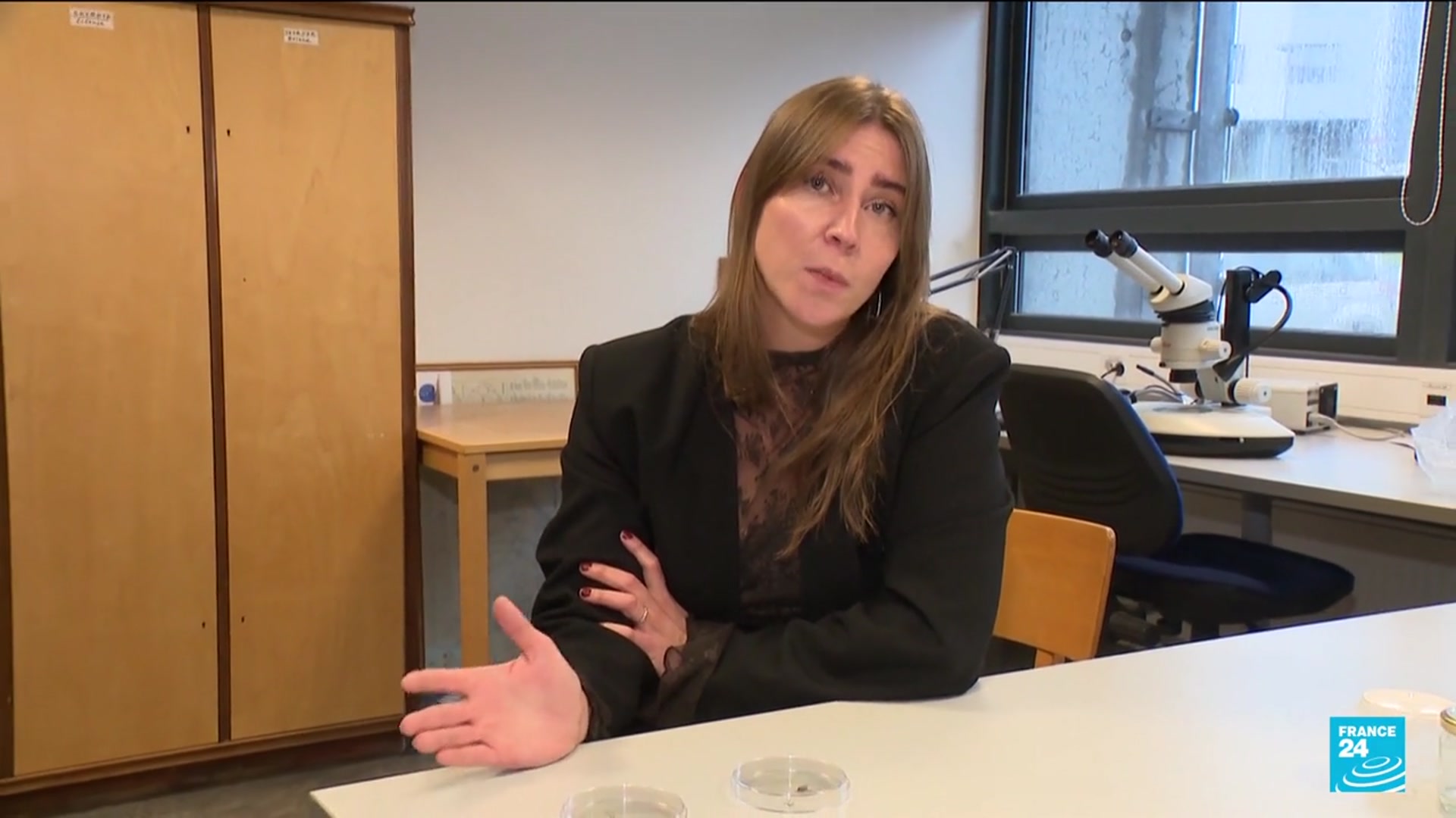 'Video thumbnail for Mosquitoes found in Iceland for first time as climate crisis warms the country'