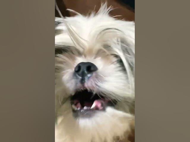 Video thumbnail for May 18, 2024