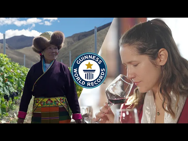 'Video thumbnail for Highest Altitude Vineyard Makes Incredibly Unique Wines'