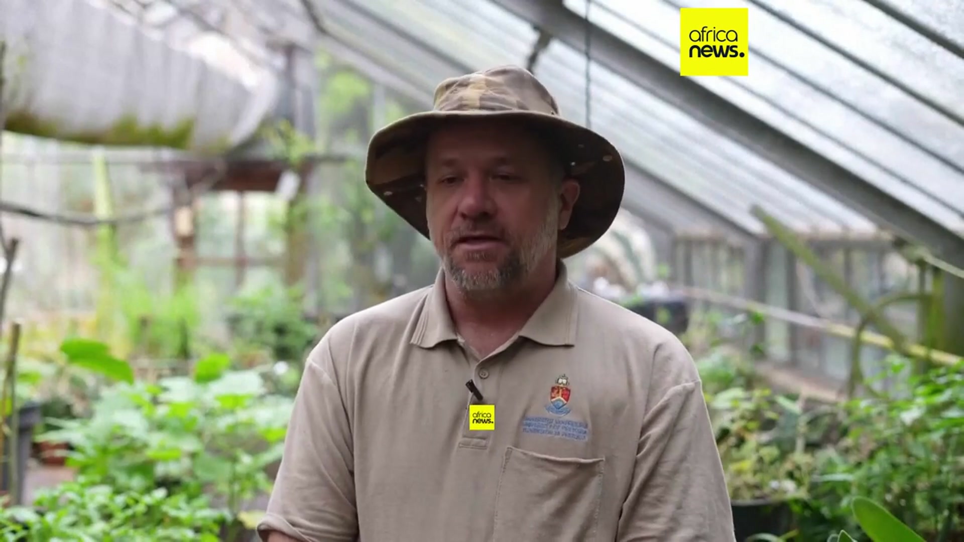 'Video thumbnail for Blossoming jacaranda trees brighten up the streets of South African cities'