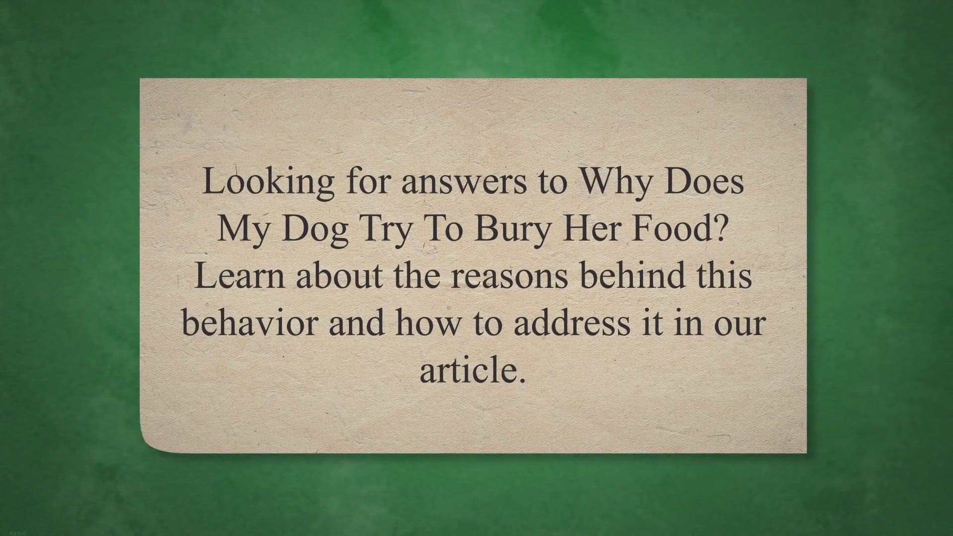 Video thumbnail for Why Does My Dog Try To Bury Her Food?