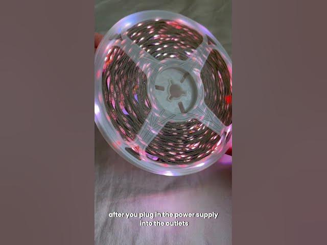 Video thumbnail for Tested: DAYBETTER RGB LED Strip Lights App & Remote Control