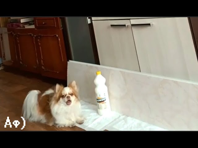 Video thumbnail for Юля ава