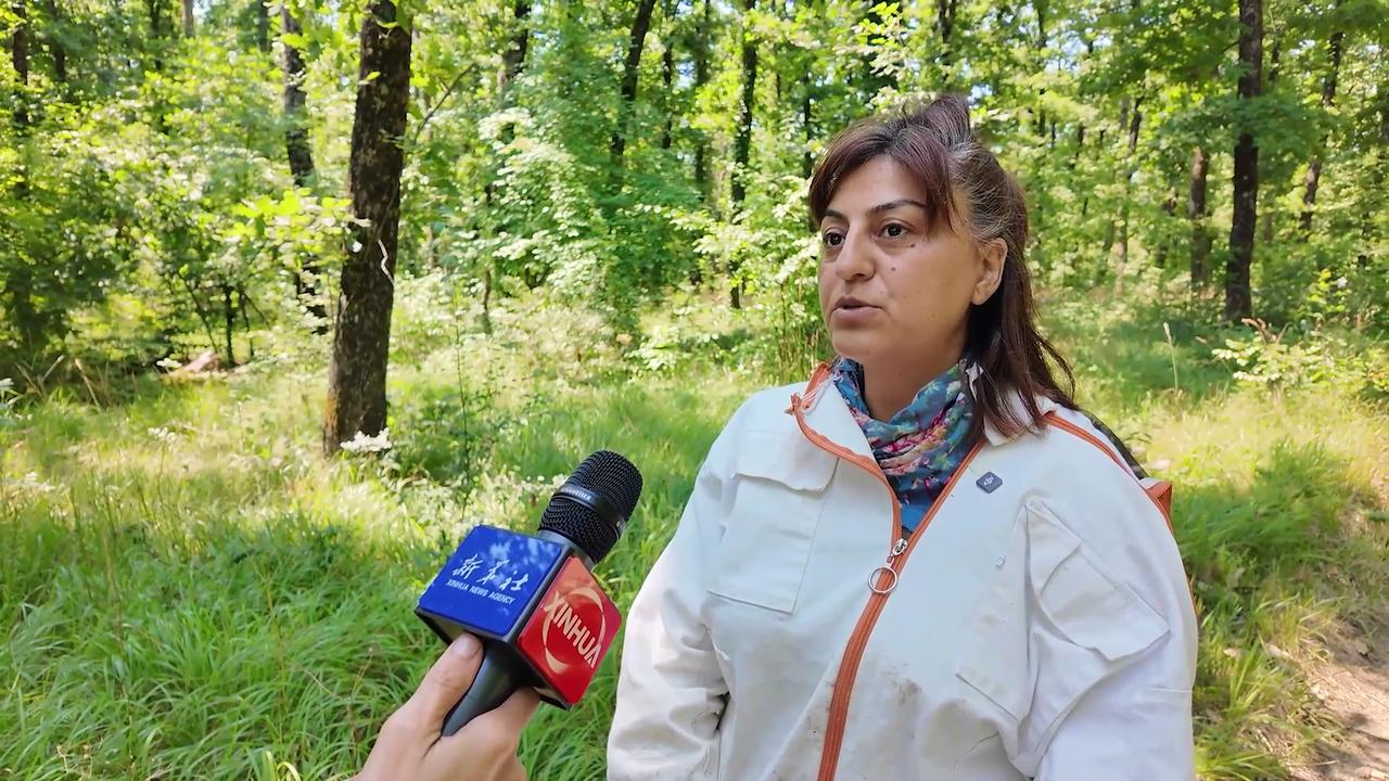 Video thumbnail for Turkey: T�rkiye's distinctive oak honey eyes sweet success in global niches.