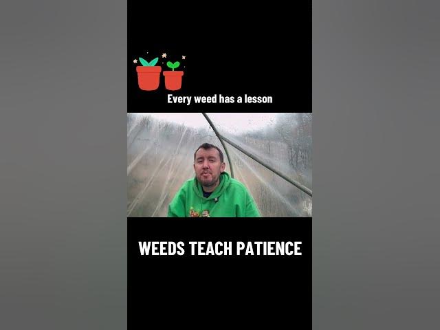 Video thumbnail for 🎥 ✅ 🌱 Every Weed Has a Lesson 🌸 | Reflections from the Allotment Garden 🌿🎧