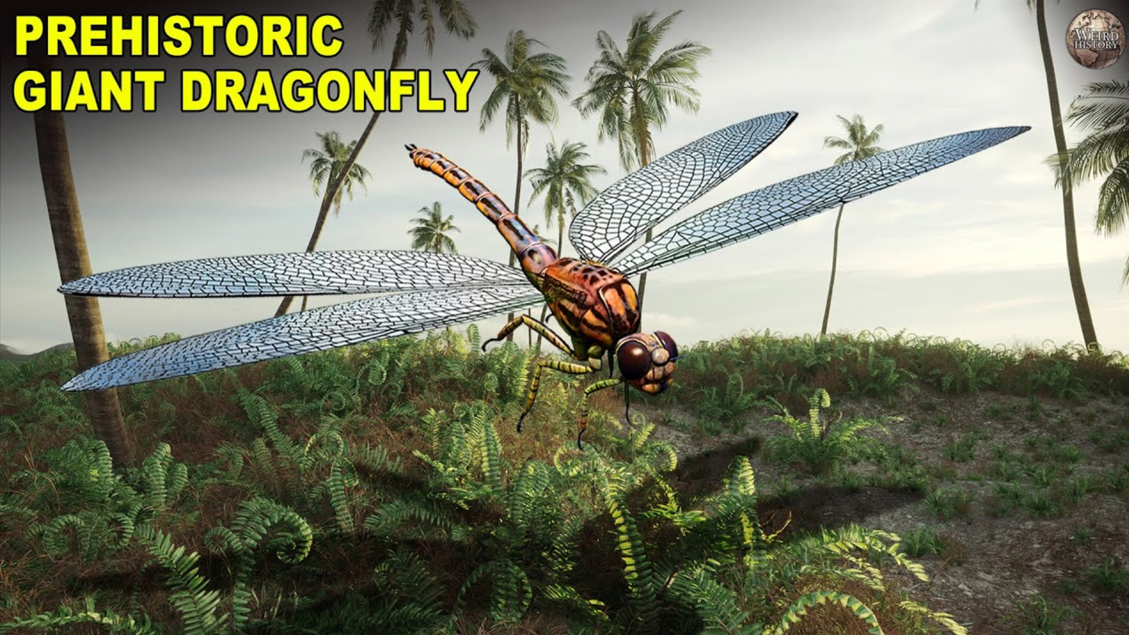 Video thumbnail for Meganeura' - The Prehistoric Dragonfly With A Two-Foot Wingspan