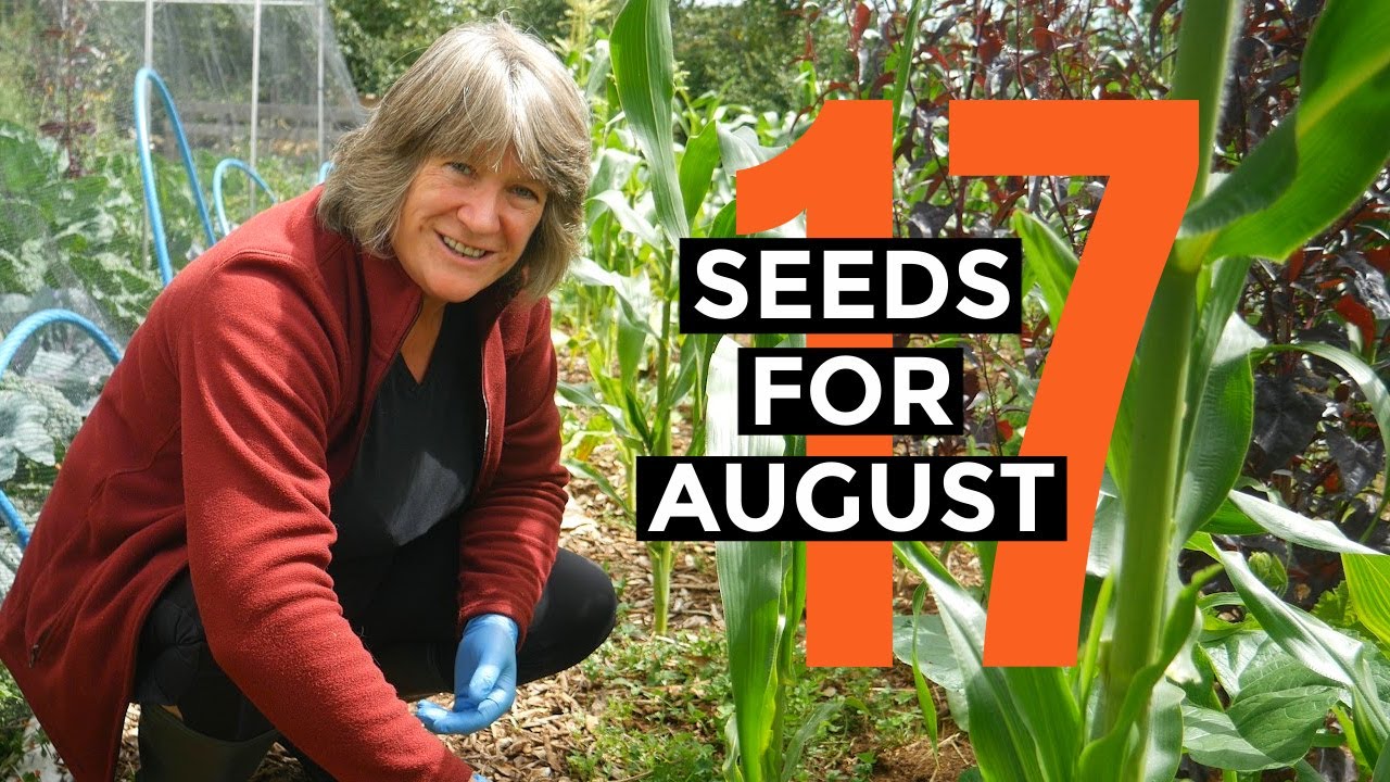 Video thumbnail for What to Sow in August | Easy to Grow Food | Self-sufficient Vegetable Garden.