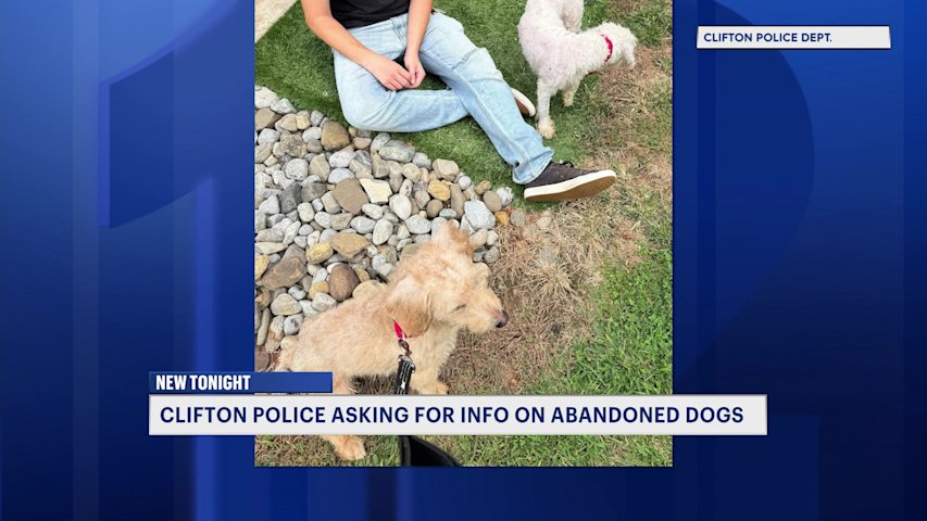 Video thumbnail for Police seek help identifying people who abandoned two dogs in Clifton