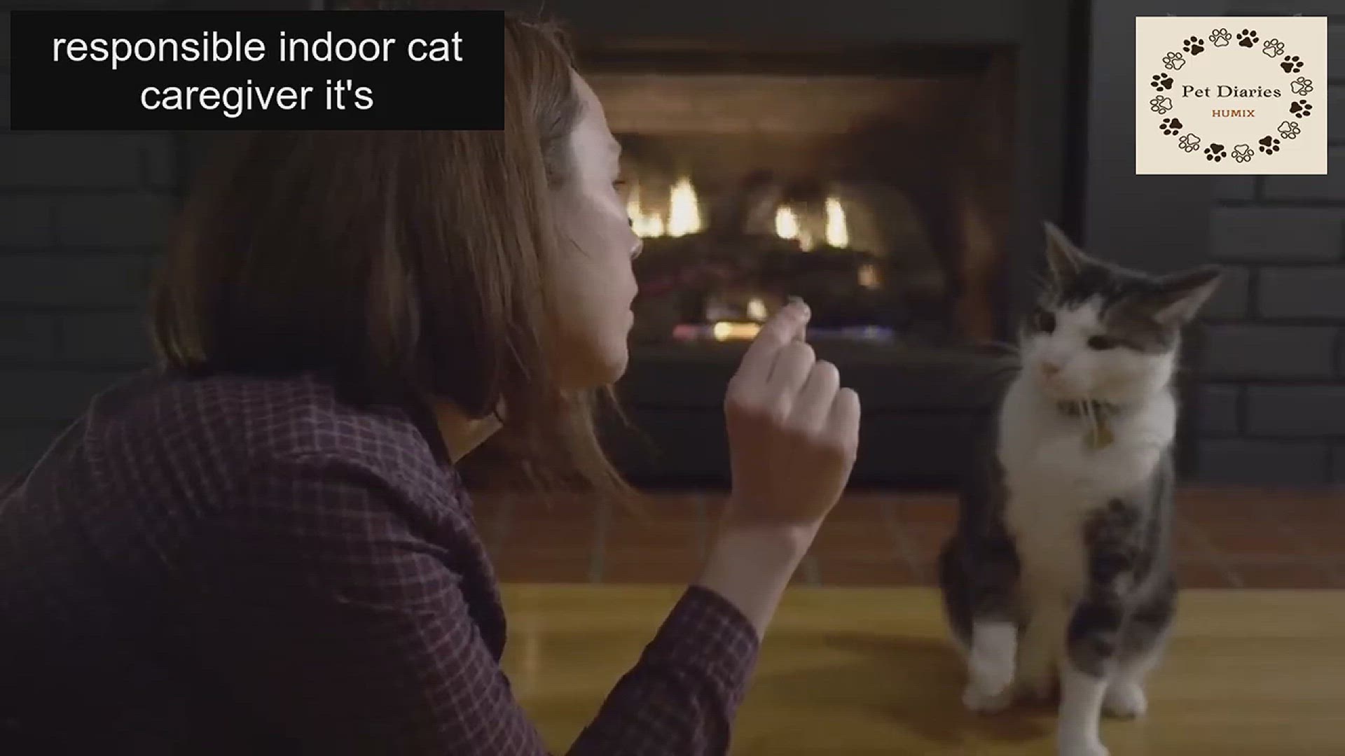 'Video thumbnail for Common Indoor Cat Mistakes - Never do This!'