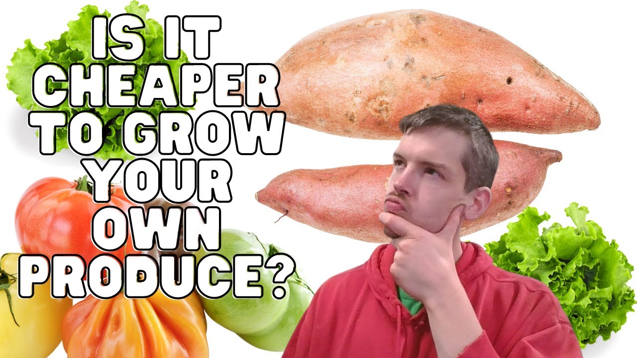 Video thumbnail for Is it Cheaper to Grow Your Own Produce? 3 Cases