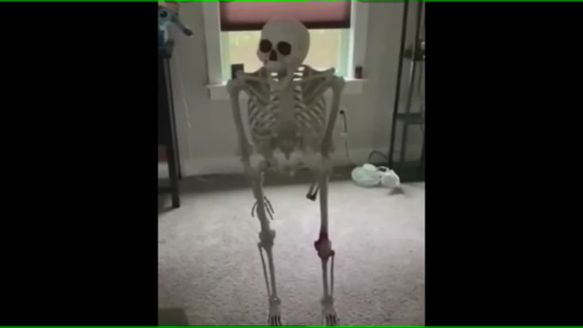 Did you know that...