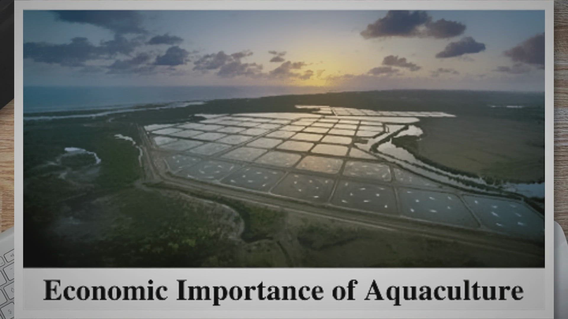 Video thumbnail for Best 10 Economic Importance of Aquaculture