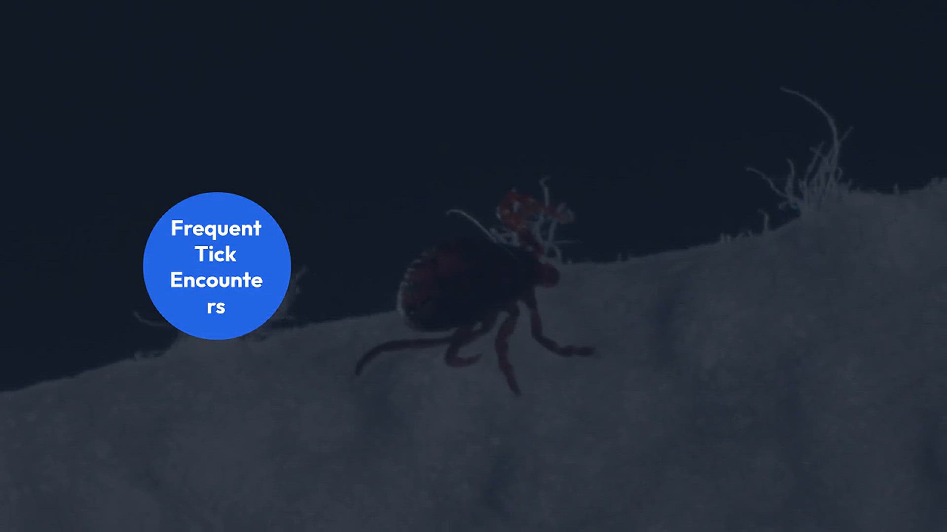 Video thumbnail for Battling_Ticks_and_Lyme_Disease