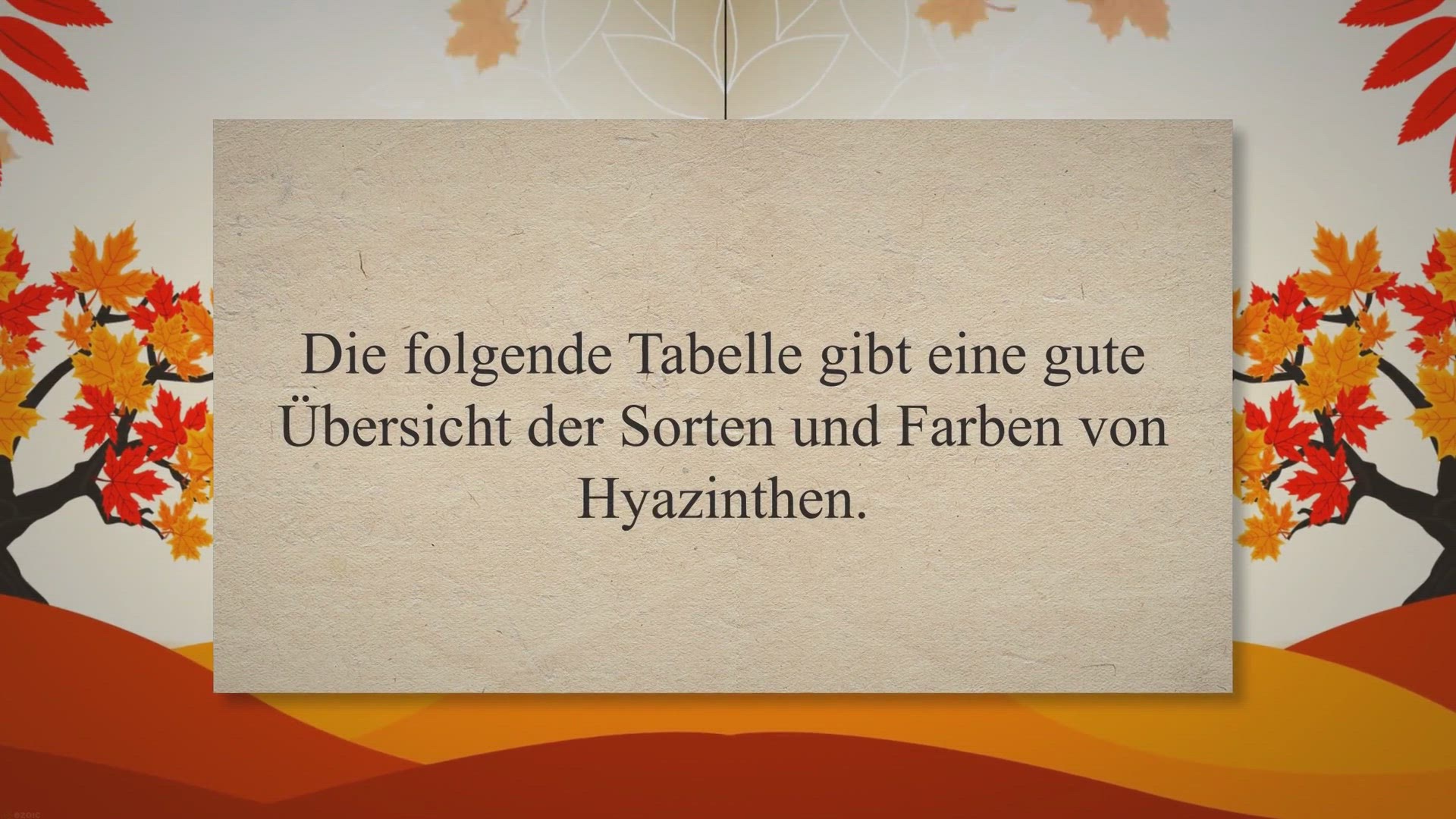 Video thumbnail for Diese Farben haben Hyazinthen (aufgeschlüsselt nach Sorte)