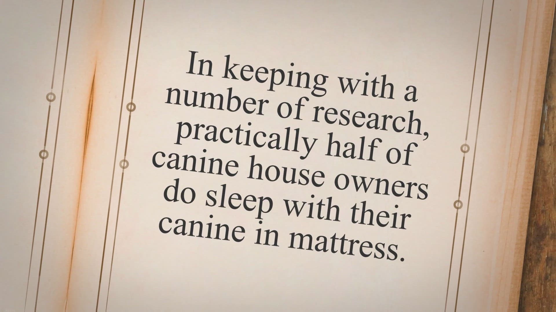 Video thumbnail for 8 Causes Why You Ought to Let Your Canine Sleep On The Mattress