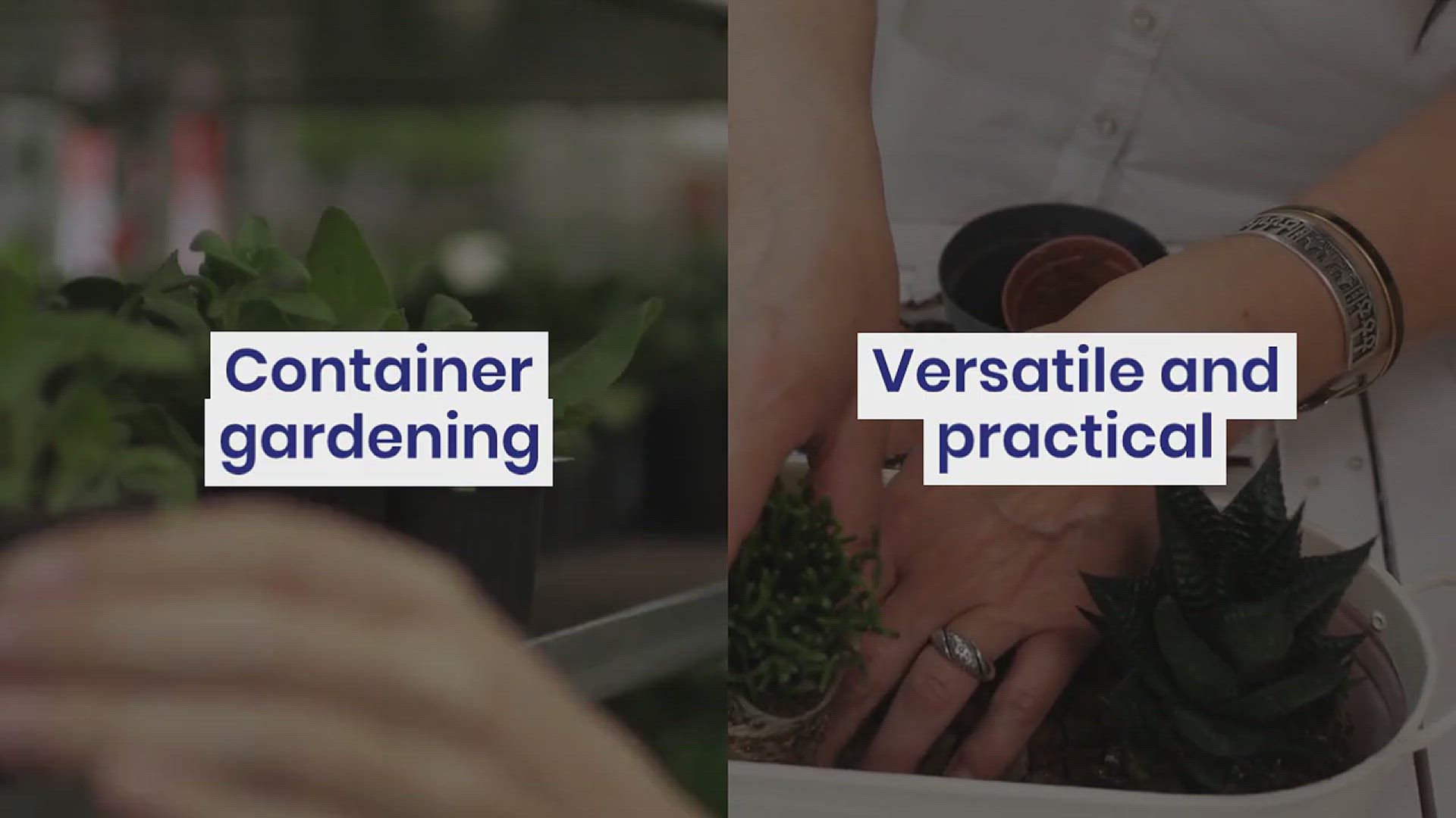 'Video thumbnail for How to Build the Best Backyard Garden'
