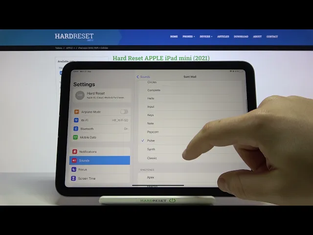Video thumbnail for Sent Mail Tones on iPad mini (2021) Checkup - Listen to All Avaliable Tunes