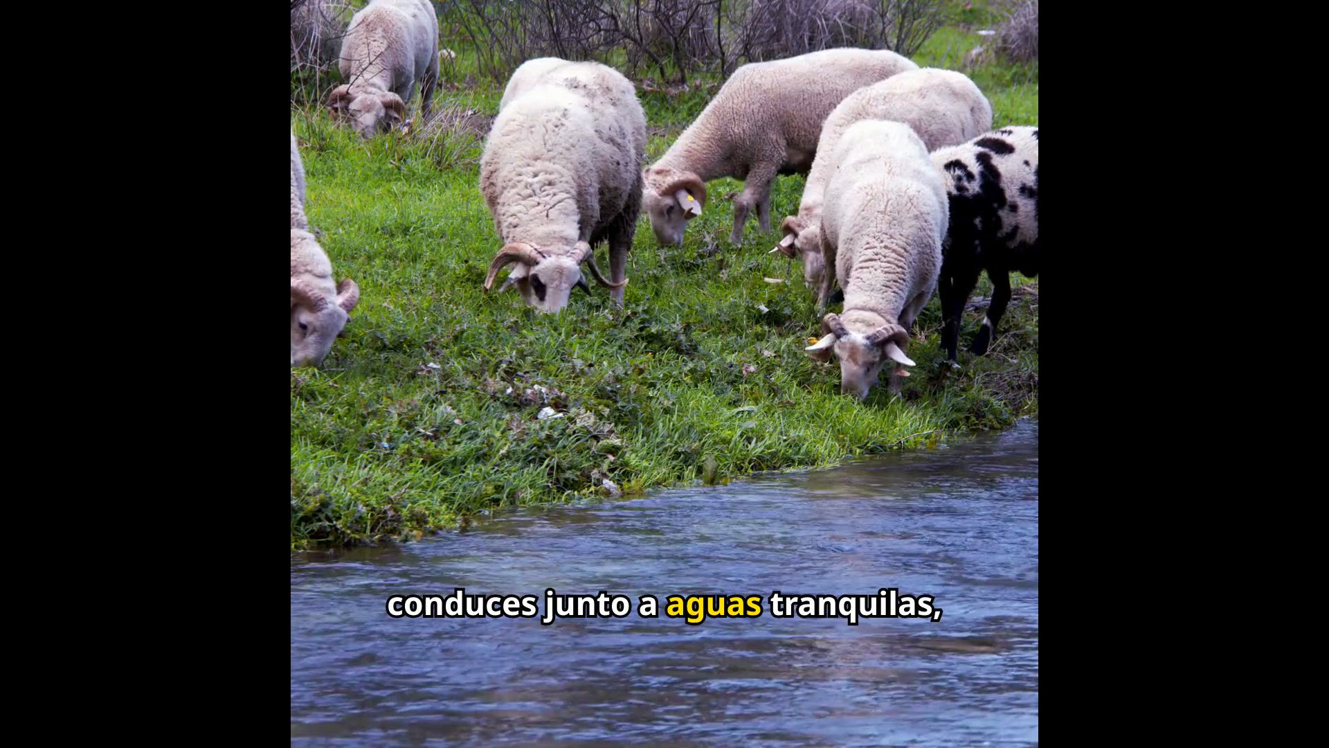'Video thumbnail for Oración al Buen Pastor'