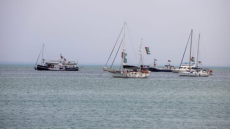 Video thumbnail for Tunisia: At least 11 detained following protest for release of activists