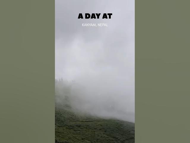 Video thumbnail for #NepalCricket #NPL #NPL2025 #Cricket #Nepal  #TrendingNow #SportsShorts #NepalPremierLeague