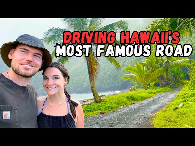 Video thumbnail for Most Beautiful Drive in Maui?! 🌴 Turtles, Black Sand Beach, & Cow Cuddling!