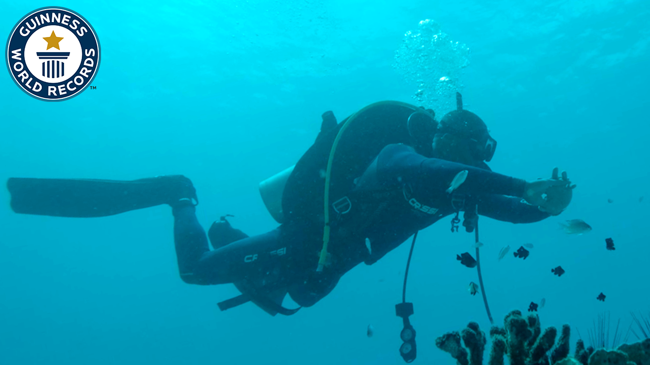 'Video thumbnail for Fastest time to SCUBA dive in all seven continents'