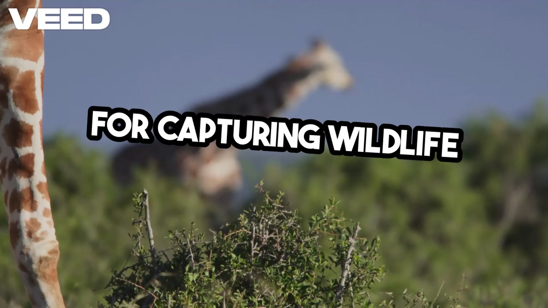 Video thumbnail for Google Pixel Camera 10 App Update Released