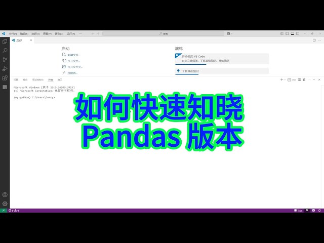 Video thumbnail for 如何用pip和Python代码获取Pandas版本?超实用教程!