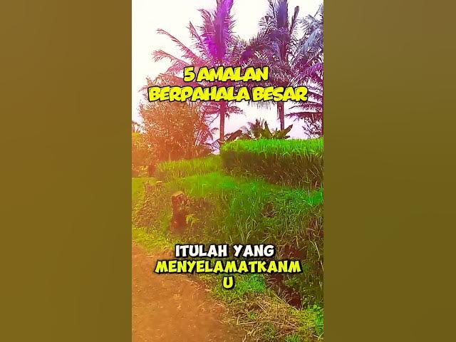 Video thumbnail for 5 AMALAN berpahala besar#lenterahati #shorts#motivasiislami