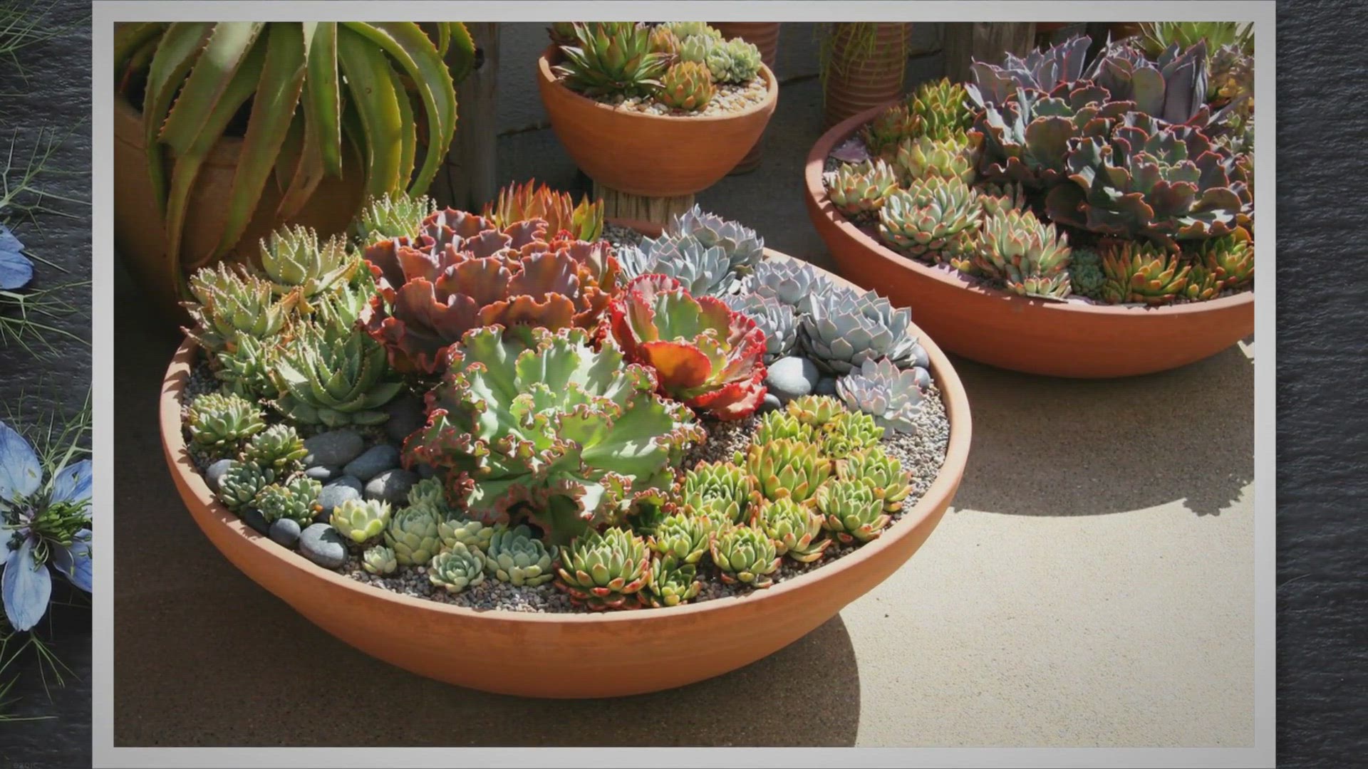 'Video thumbnail for Flower Garden Ideas'