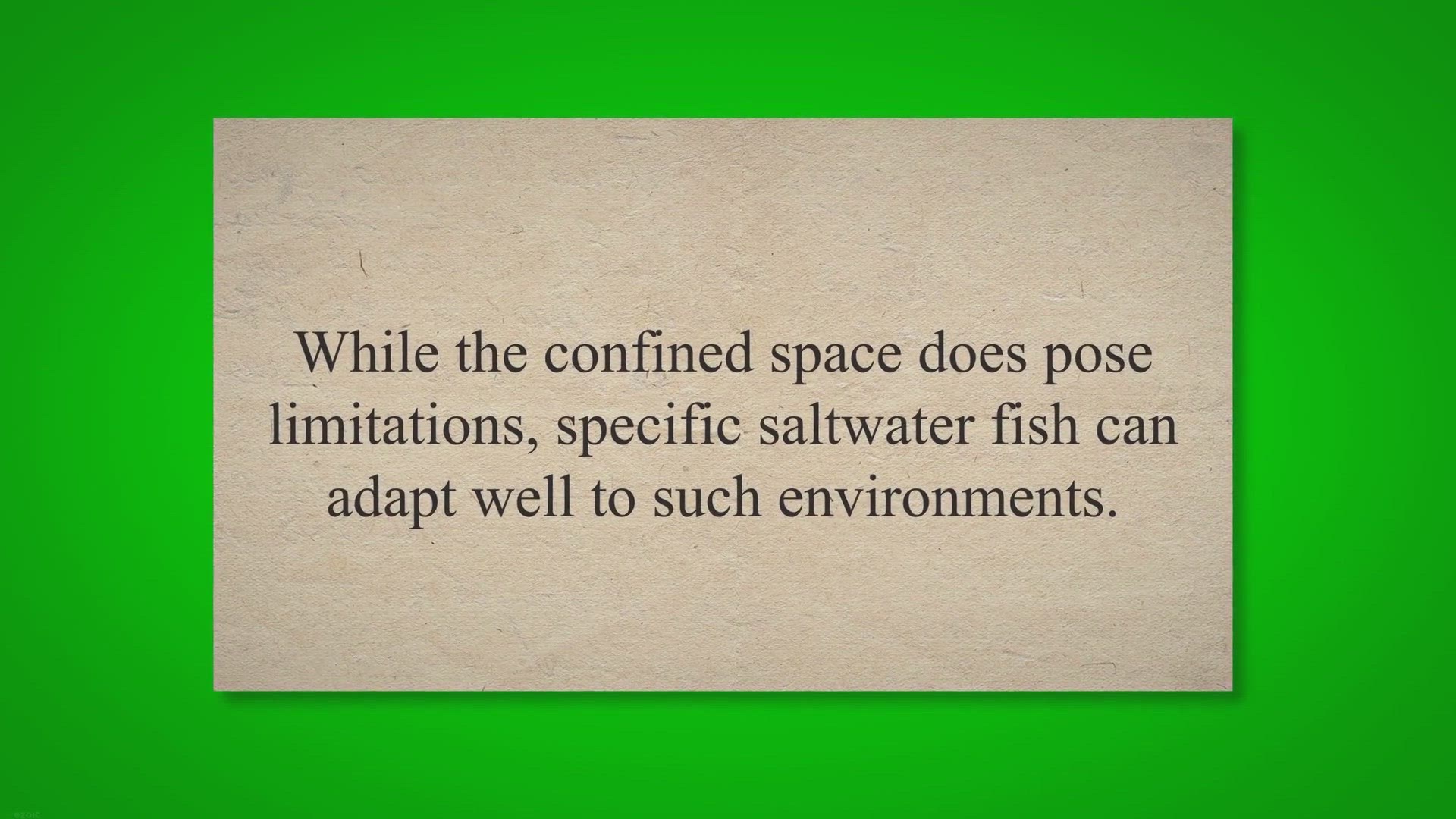 Video thumbnail for Exploring Saltwater Fish Options for Your 5-Gallon Aquarium