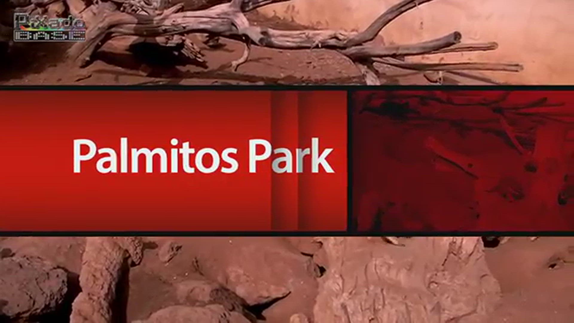 'Video thumbnail for Palmitos Park Gran Canaria'