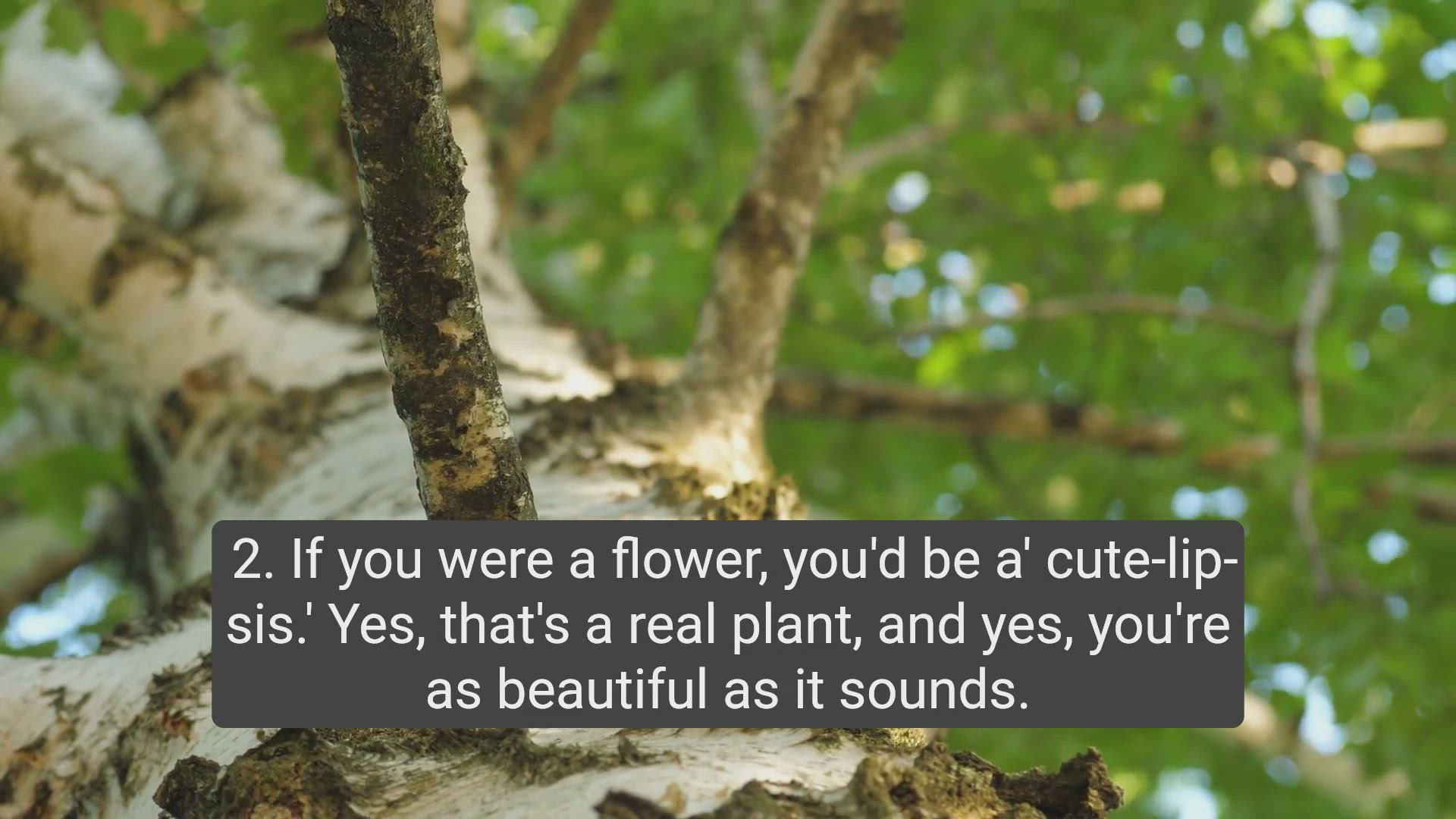'Video thumbnail for 20 Gardening Pickup Lines to Grow Your Love Life'