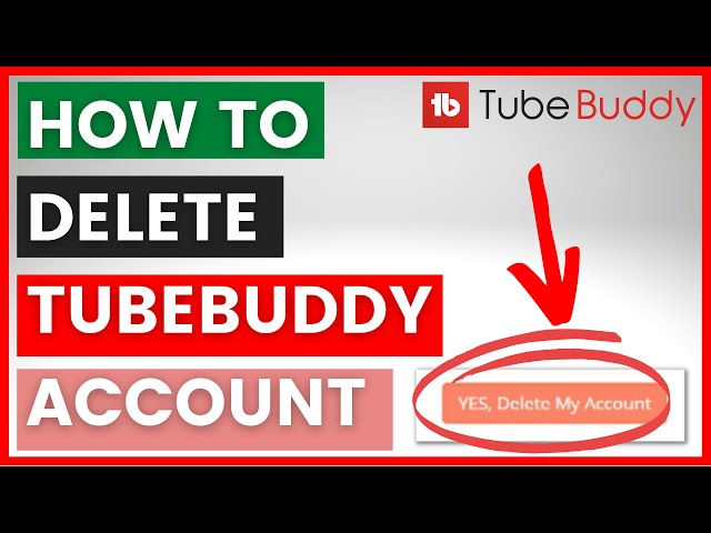Video thumbnail for How To Delete TubeBuddy Account Permanently? [in 2025]