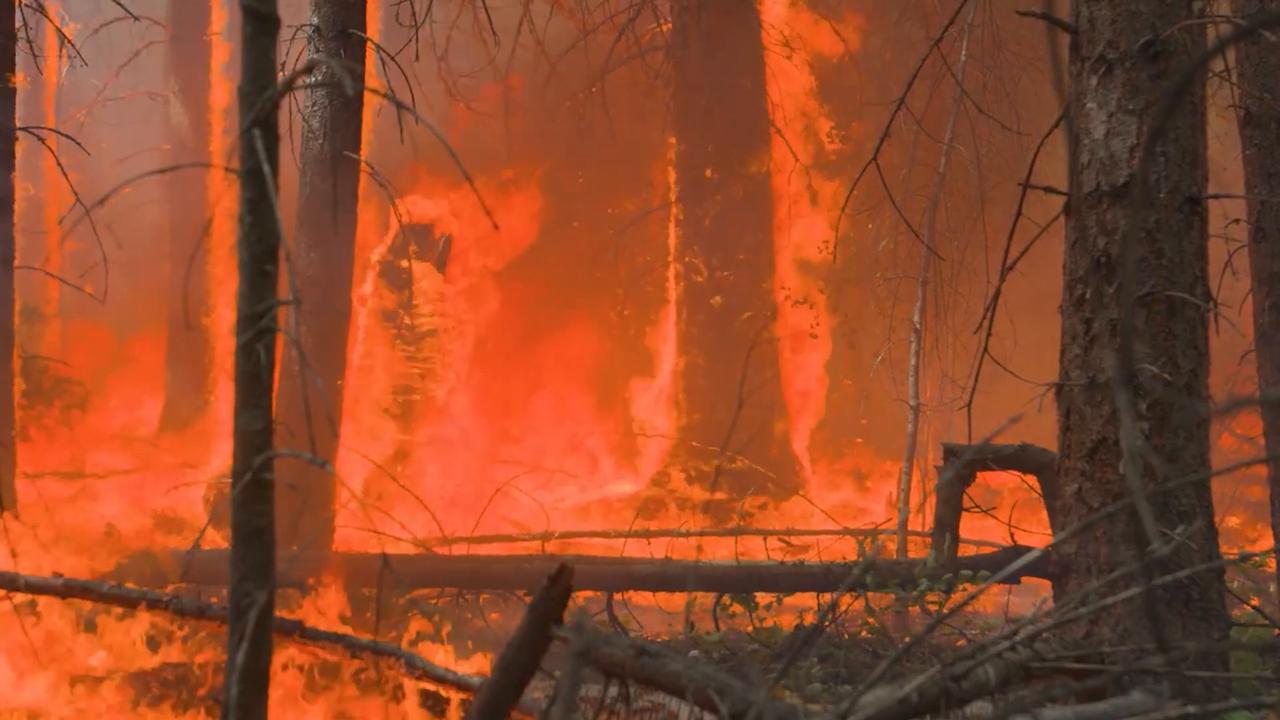 Video thumbnail for Canada: Firefighters continue battling out-of-control Brunswick Creek wildfire in Canada.
