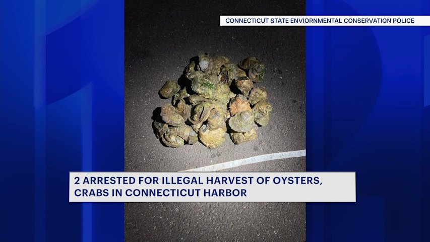 Video thumbnail for 2 men arrested for illegal harvest of oysters, crabs in Connecticut harbor