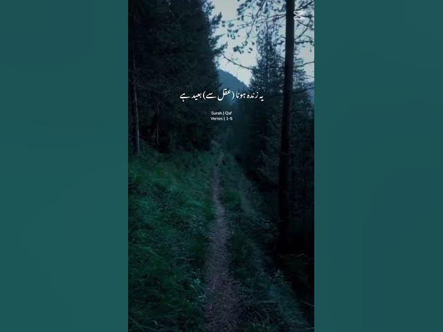 Video thumbnail for ❤️So beautiful Quran urdu translation ❤️surah Qaf verses 1-5 ❤️✨️☝️❤️ #subscribe