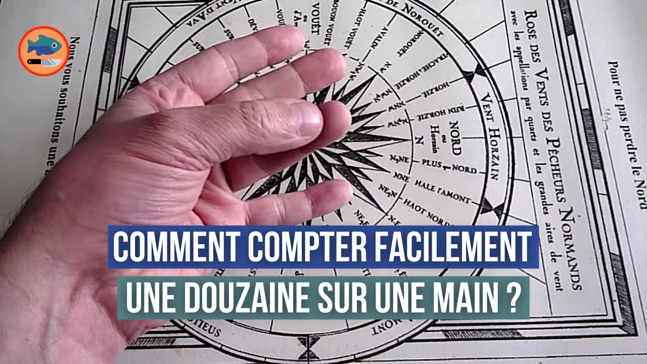 Video thumbnail for Comment compter une douzaine sur une main ?