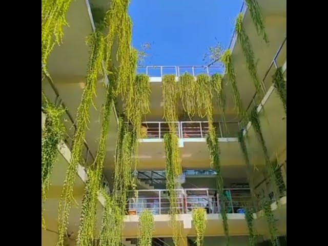 Video thumbnail for Dhaka international University- DIU #foryou #diu #university