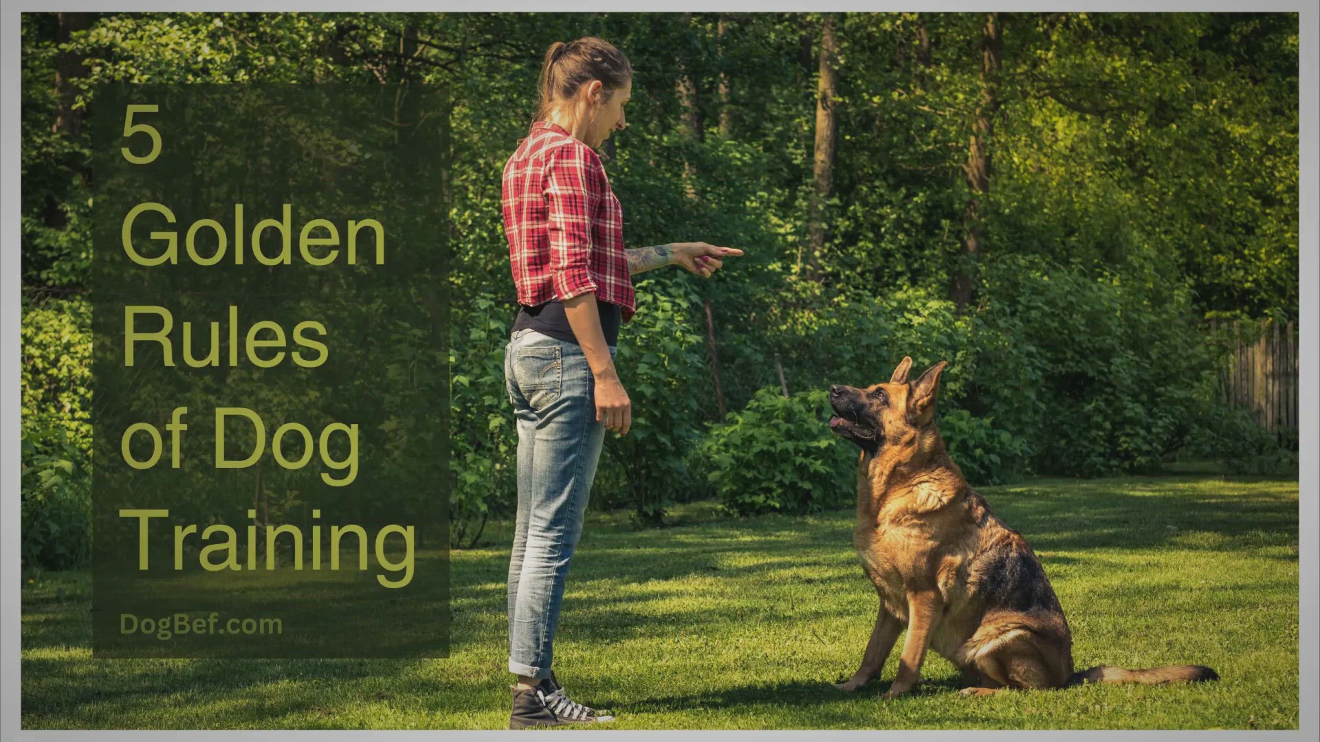 Video thumbnail for 5 Golden Rules of Dog Training for Unleashing Obedience