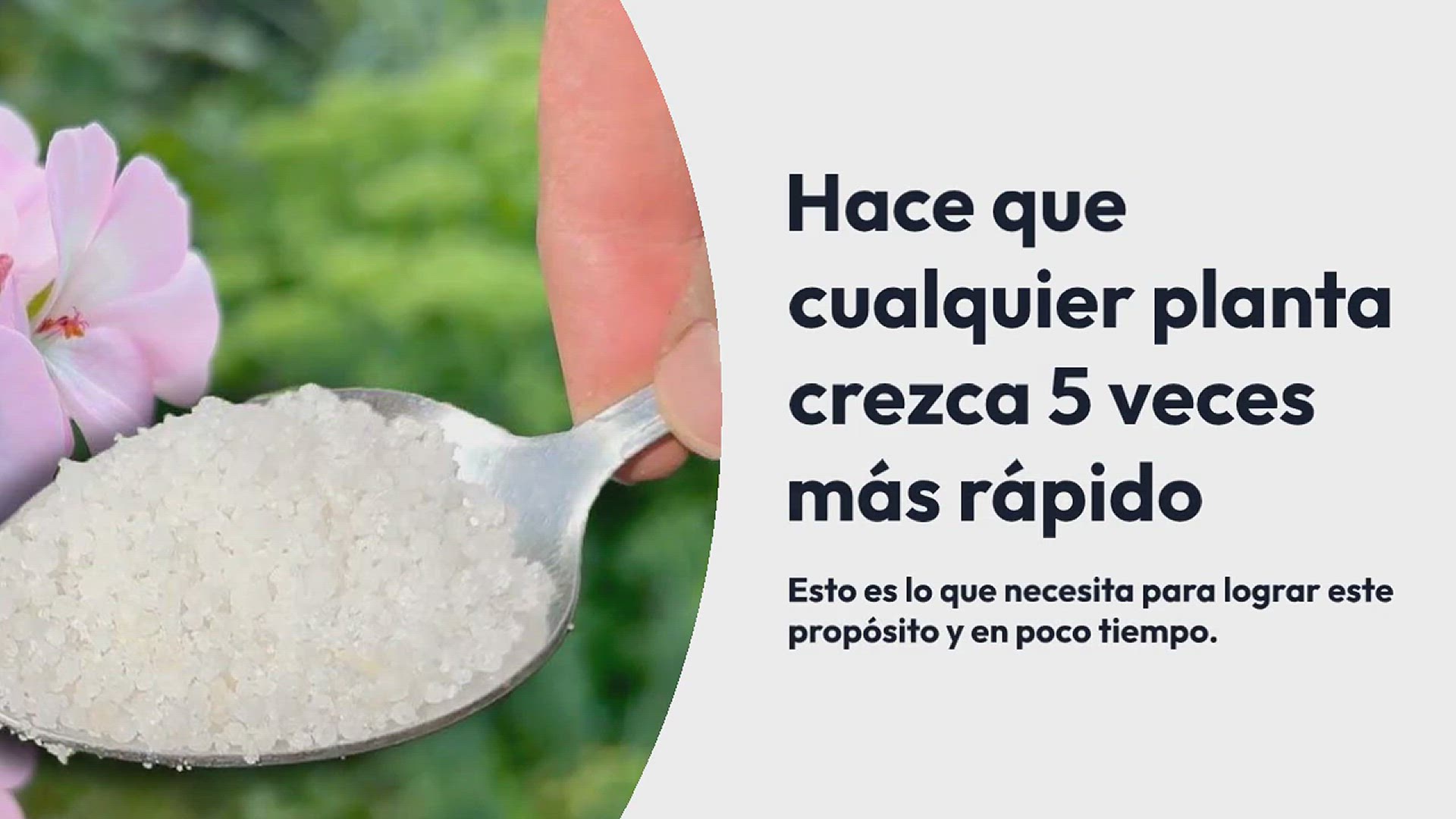 Video thumbnail for No lo creerás pero hace que cualquier planta o flor crezca 5 veces más rápido
